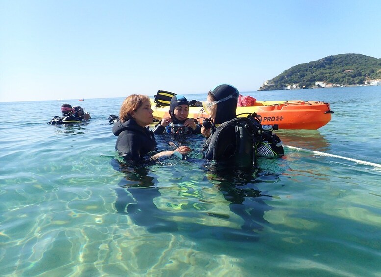 Picture 1 for Activity Lisbon: Try Dive in Arrábida Natural Park and Marine Reserve