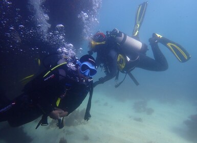 Lisbon: Try Dive in Arrábida Natural Park and Marine Reserve