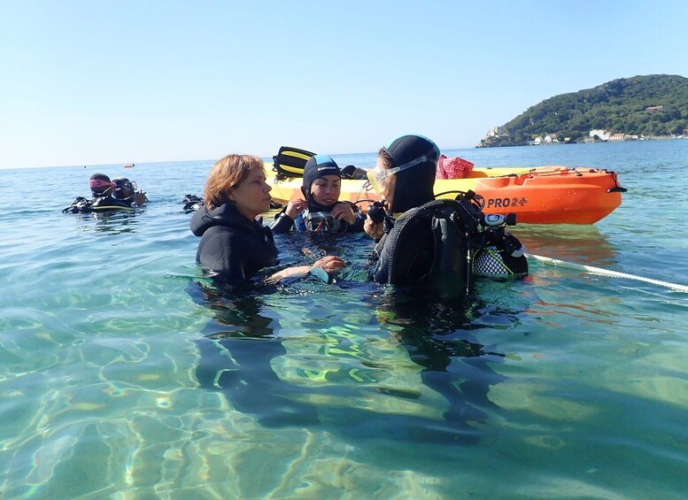 Picture 1 for Activity Lisbon: Try Dive in Arrábida Natural Park and Marine Reserve