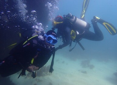 Lisbonne : Essayez de plonger dans le parc naturel et la réserve marine d’A...