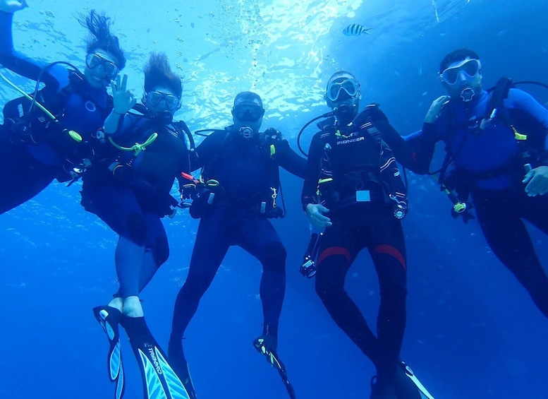 Picture 5 for Activity Lisbon: Try Dive in Arrábida Natural Park and Marine Reserve