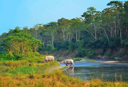 9 jours Katmandou, Pokhara, Chitwan, Lumbini et Janakpur excursion