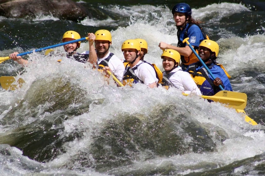 Picture 7 for Activity Pigeon Forge: Whitewater Rafting Tour in the Smokies