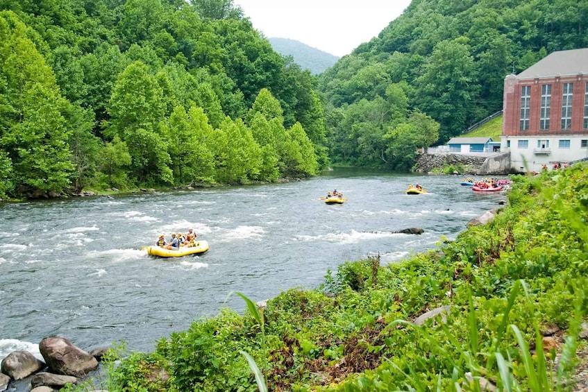 Picture 5 for Activity Pigeon Forge: Whitewater Rafting Tour in the Smokies