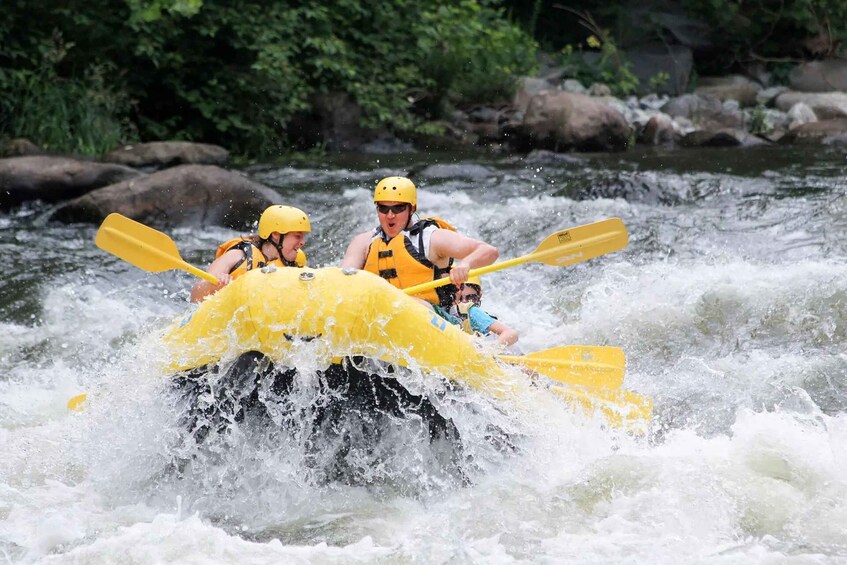 Picture 6 for Activity Pigeon Forge: Whitewater Rafting Tour in the Smokies