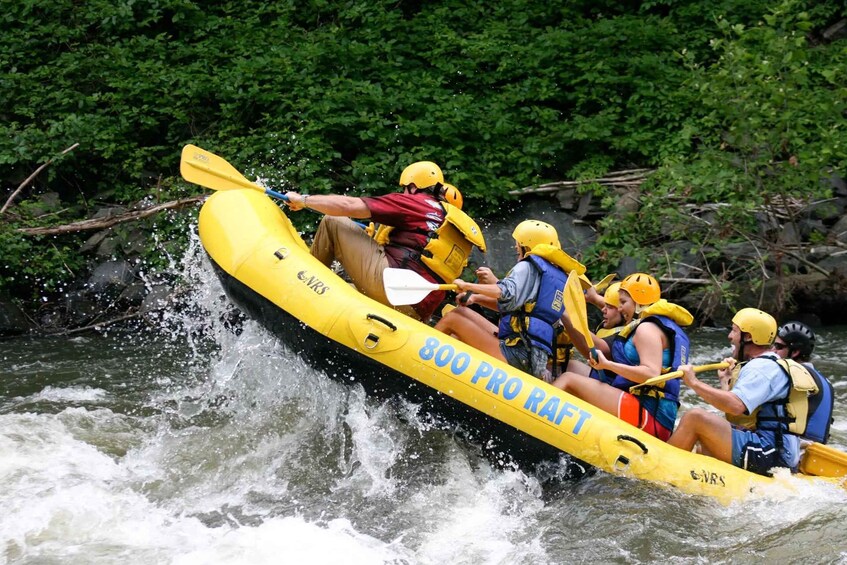 Picture 4 for Activity Pigeon Forge: Whitewater Rafting Tour in the Smokies