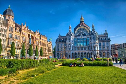 Antwerpen: Insta-Perfecte wandeling met een local