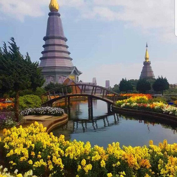 Picture 6 for Activity Chiang Mai: Doi Inthanon Park and Pha Dok Siew Trail Trek