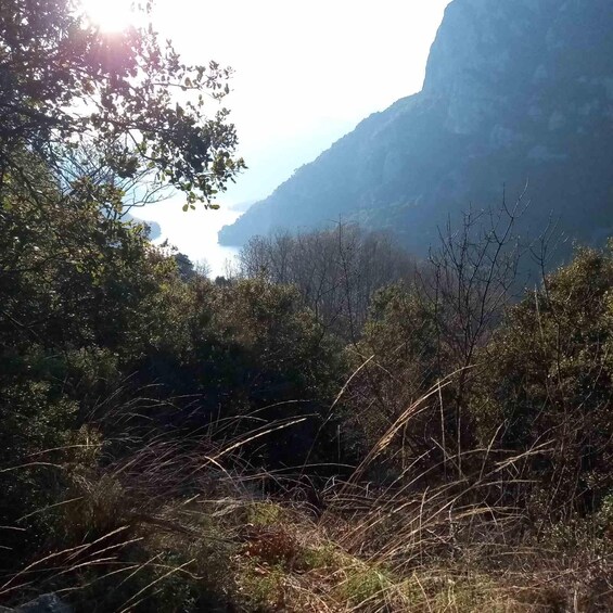 Picture 3 for Activity THESSALONIKI: CLIMBING WITH A VIEW OF THE ALIAKMONAS DAM