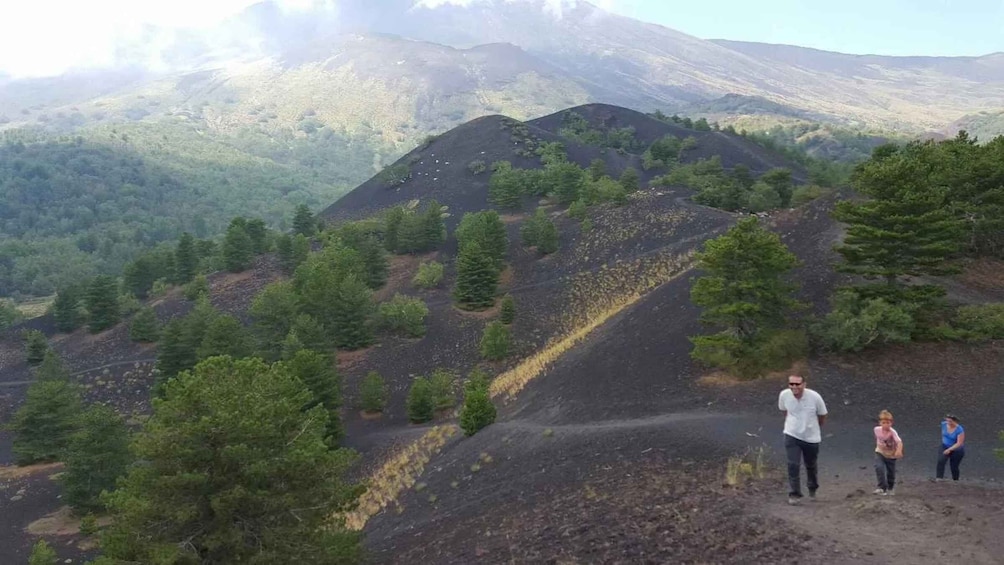 Picture 3 for Activity From Palermo to Taormina: Mount Etna (Multi-Language Tour)