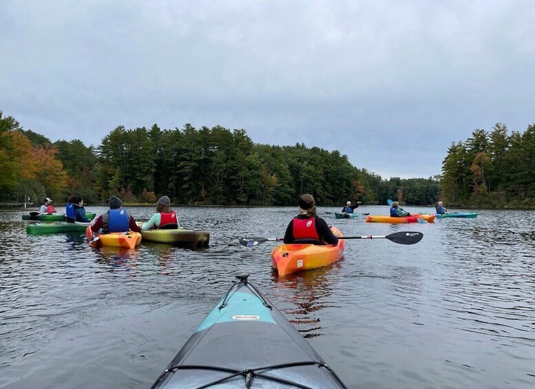 Picture 4 for Activity Scenic Sebago Lake Historical Tour