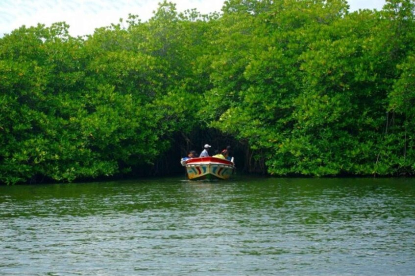 Picture 6 for Activity From Bentota: Madu River Safari & Turtle Hatchery Visit