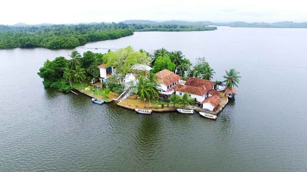 Picture 5 for Activity From Bentota: Exclusive Madu River Safari & Turtle Hatchery