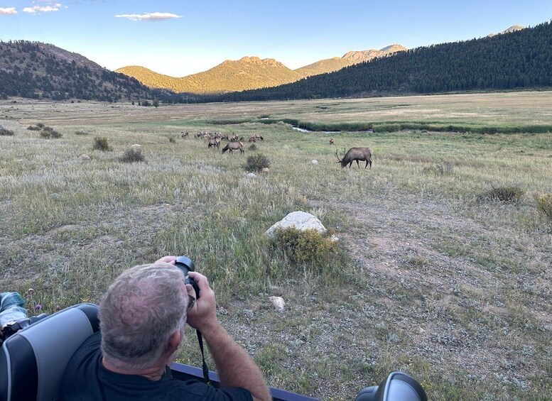 Picture 11 for Activity Estes Park: Rocky Mountain National Park Glass-Top Bus Tour