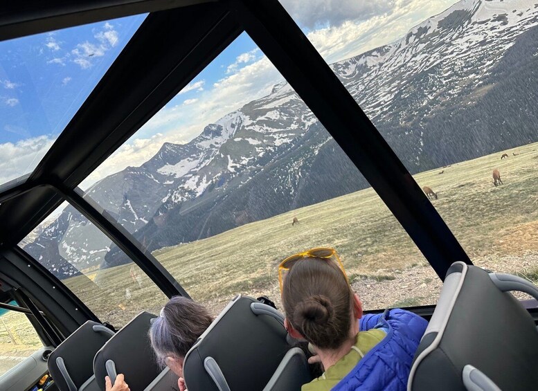 Picture 5 for Activity Estes Park: Rocky Mountain National Park Glass-Top Bus Tour