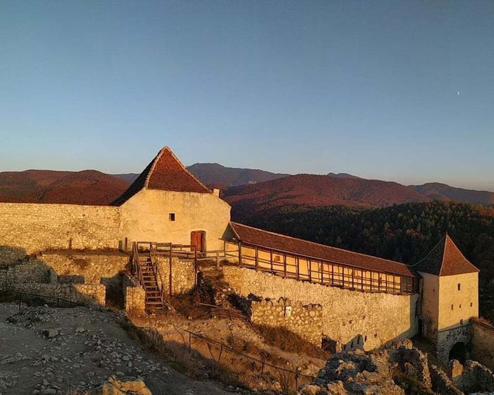 Picture 6 for Activity Brown Bear Sanctuary, Bran Castle & Rasnov Fortress Day Tour