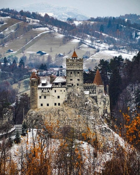 Picture 1 for Activity Brown Bear Sanctuary, Bran Castle & Rasnov Fortress Day Tour