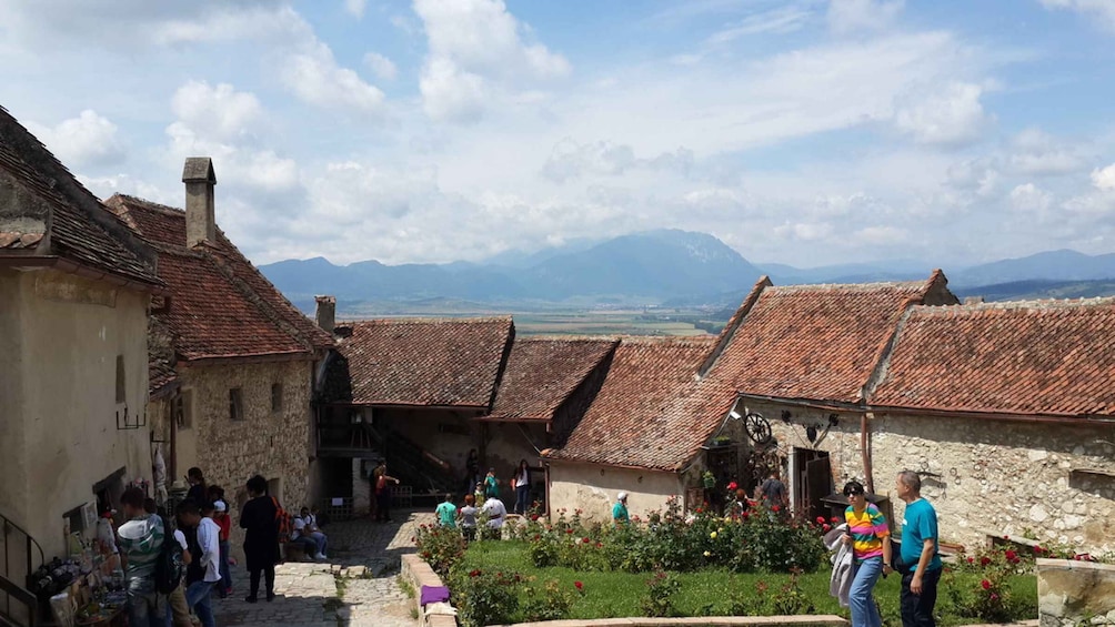 Picture 9 for Activity Brown Bear Sanctuary, Bran Castle & Rasnov Fortress Day Tour