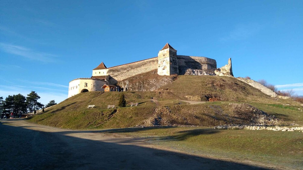 Picture 2 for Activity Brown Bear Sanctuary, Bran Castle & Rasnov Fortress Day Tour