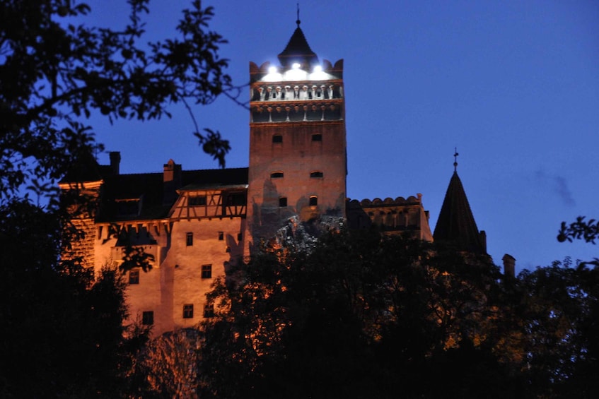 Picture 3 for Activity Brown Bear Sanctuary, Bran Castle & Rasnov Fortress Day Tour