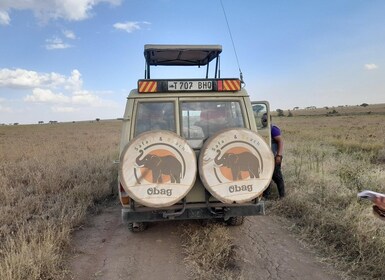 Mikumi & Nyerere National Park