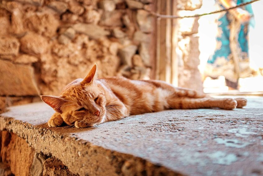 Picture 31 for Activity From Chania: Cave of Zeus & Knossos Palace Private Day Tour