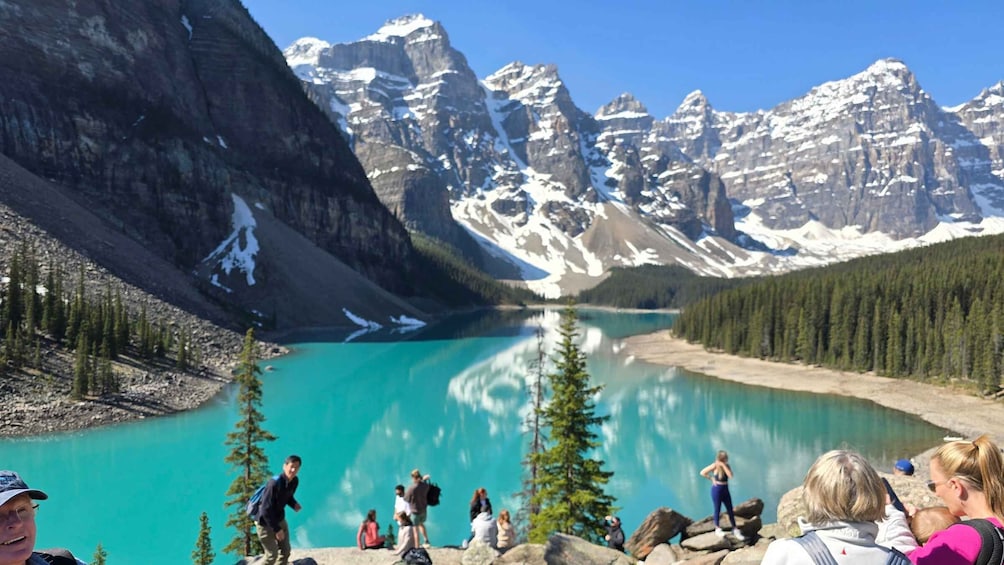 Picture 6 for Activity Moraine Lake and Lake Louise Half Day Tour