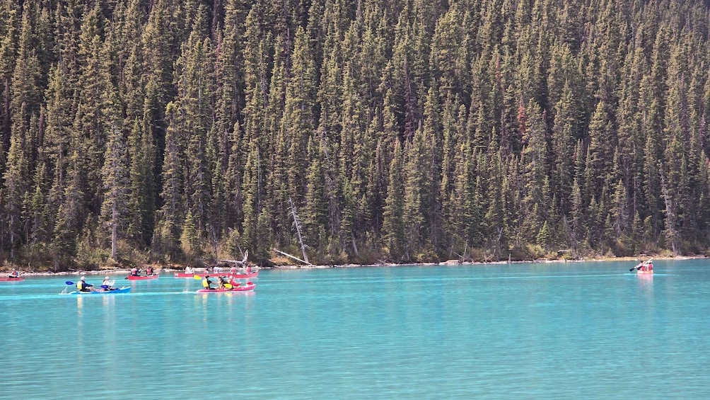 Picture 8 for Activity Moraine Lake and Lake Louise Half Day Tour