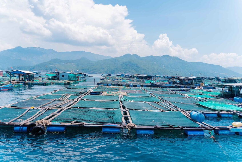 Picture 5 for Activity Nha Trang: Snorkeling - Sunbathing - Explore Fishing Village