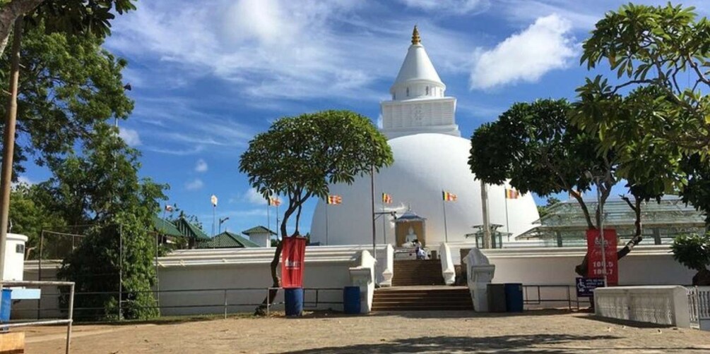 Picture 2 for Activity Southern Sri Lanka Temple Quest: from Hambantota Harbor