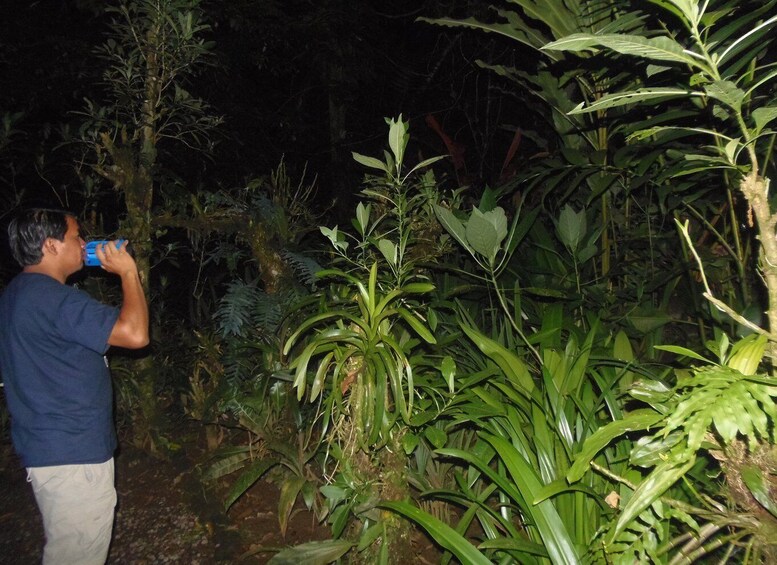 Picture 3 for Activity La Fortuna: Symphony of the Rainforest Best Night Expedition