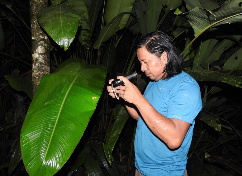 Picture 5 for Activity La Fortuna: Symphony of the Rainforest Best Night Expedition