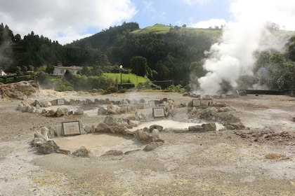 从蓬塔德尔加达出发：弗尔纳斯湖岸 4x4 导览一日游