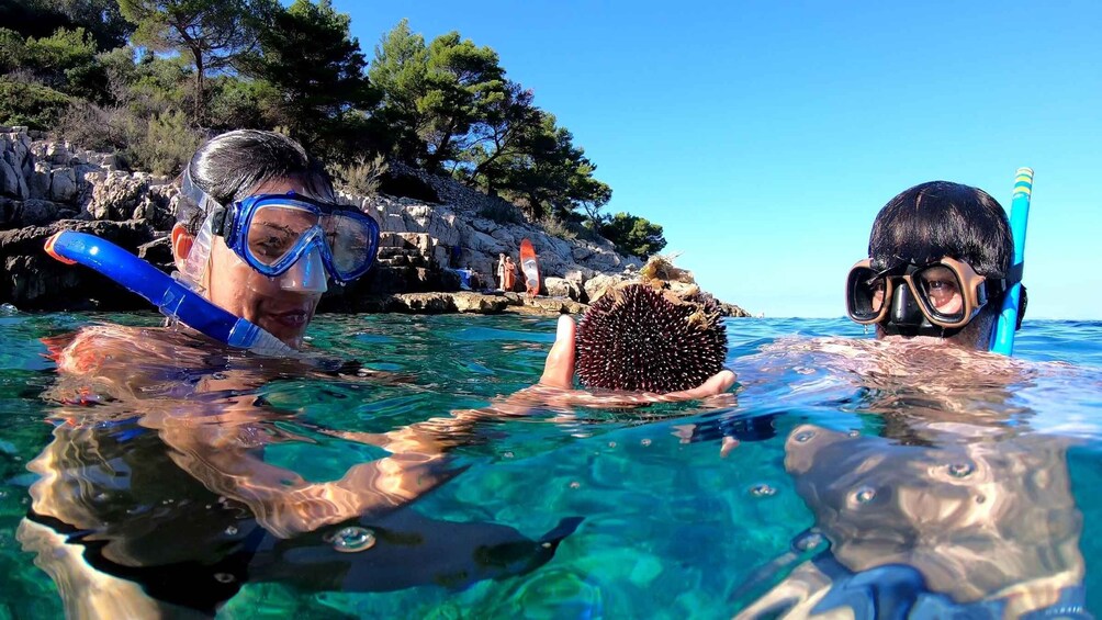 Island Losinj Kayak Tour