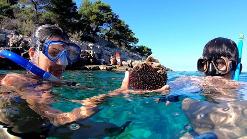 Island Losinj Kayak Tour