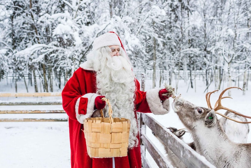 Picture 9 for Activity Rovaniemi: Santa Claus Village Tour with Transfer