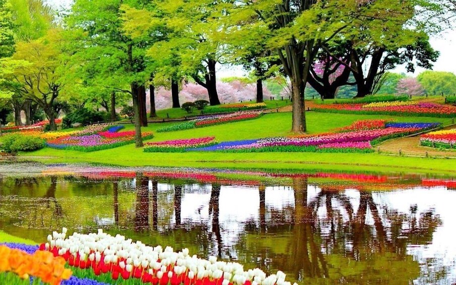 Picture 1 for Activity From Amsterdam: One-Way Private Transfer to/from Keukenhof