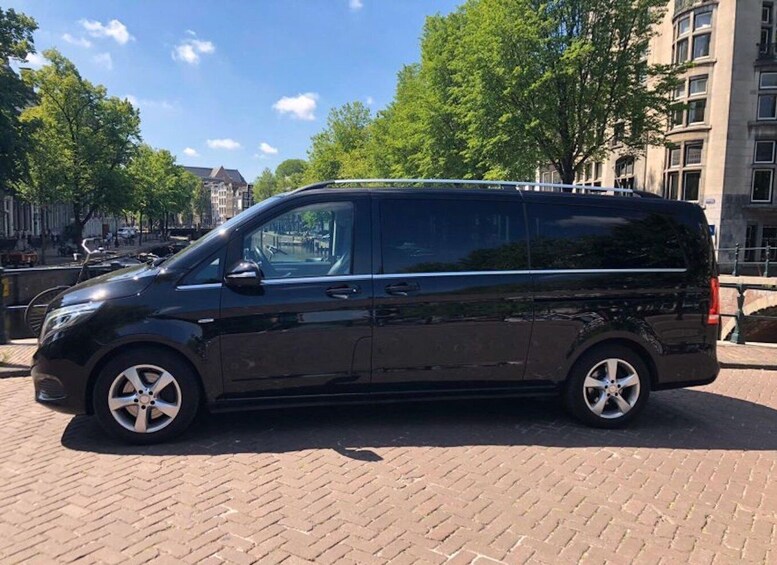 Picture 4 for Activity From Amsterdam: One-Way Private Transfer to/from Keukenhof