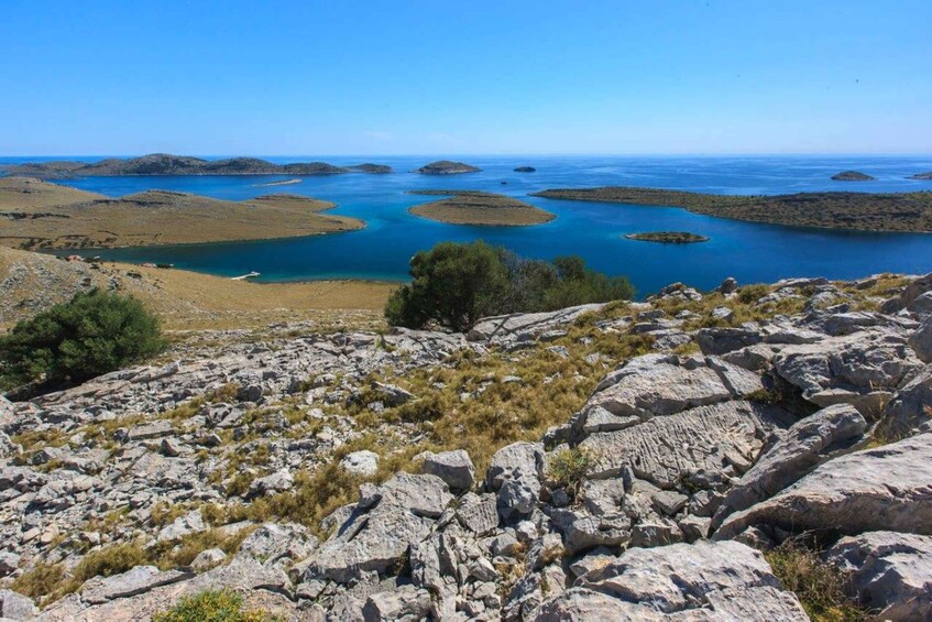 Picture 3 for Activity Zadar: Full Day Speedboat Adventure