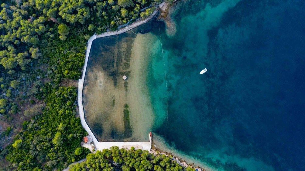 Picture 2 for Activity Zadar: Full Day Speedboat Adventure