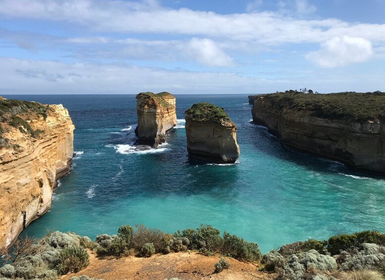 Picture 4 for Activity From Melbourne: Great Ocean Road Minibus Tour in Reverse