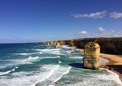 Dari Melbourne: Tur Minibus Great Ocean Road secara Terbalik