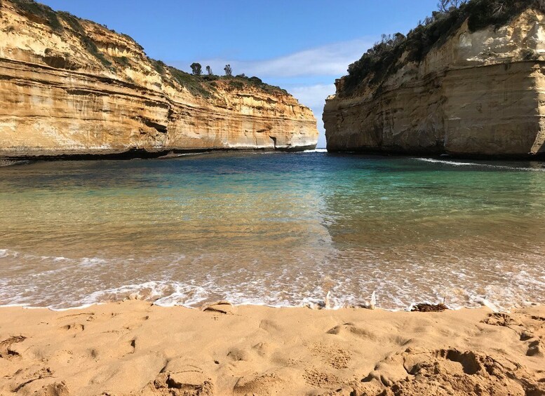 Picture 5 for Activity From Melbourne: Great Ocean Road Minibus Tour in Reverse