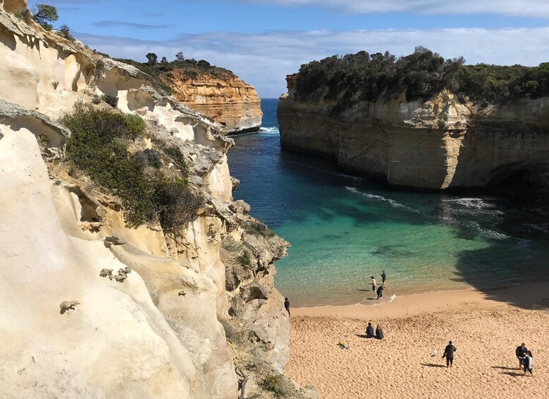 Picture 2 for Activity From Melbourne: Great Ocean Road Minibus Tour in Reverse