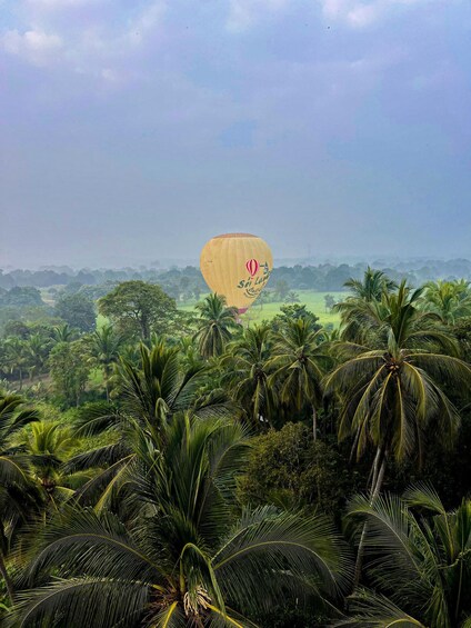 Picture 13 for Activity Sigiriya: Hot Air Balloon Ride