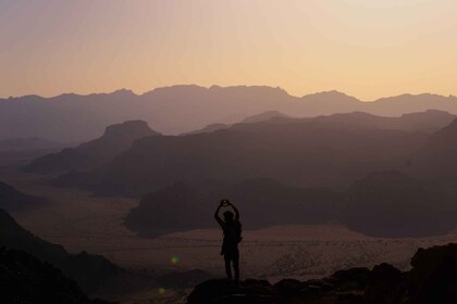 Wadi Rum: Jeep tour, Lawrences spring, Khazali Canyon + more
