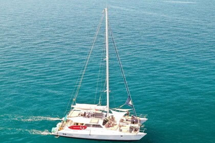 Arguineguin : Catamaran excursion with lunch and drinks