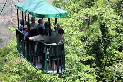 From Jaco: Aerial Tram Tour including Transport