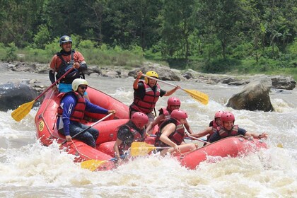 Raften op de Trishuli rivier vanuit Kathmandu -1 dag