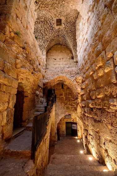 Picture 26 for Activity From Dead Sea : Jerash and Ajloun castle Full-Day Tour